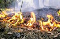 С начала года в Днепропетровской области произошло 120 лесных пожаров