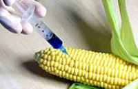 С сегодняшнего дня милиция начнет проверять наличие ГМО в продуктах