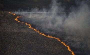ГСЧС удалось остановить распространение лесного пожара возле ЧАЭС (ФОТО)