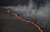 ГСЧС удалось остановить распространение лесного пожара возле ЧАЭС (ФОТО)