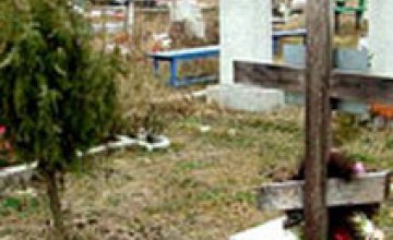 В Донецке 44-летняя гражданка выкапывала на кладбище ценные породы деревьев и кустов