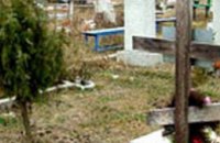 В Донецке 44-летняя гражданка выкапывала на кладбище ценные породы деревьев и кустов