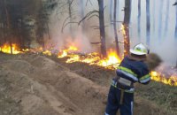 На Днепропетровщине пожарные ликвидировали лесной пожар (ФОТО, ВИДЕО)