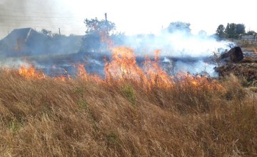 В Никополе местного жителя задержали за сжигание сухой травы