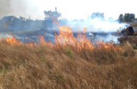 В Никополе местного жителя задержали за сжигание сухой травы