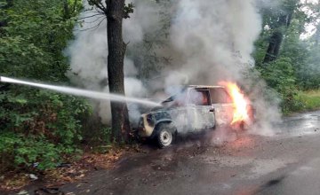 В Орловщине около базы отдыха сгорела легковушка (ФОТО)