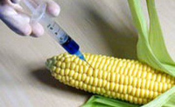 Дешевым продуктам, содержащим ГМО, украинцы предпочитают более дорогие натуральные