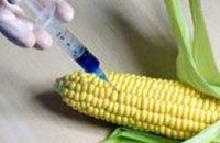 Дешевым продуктам, содержащим ГМО, украинцы предпочитают более дорогие натуральные