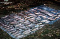 На Днепропетровщине водный патруль задержал браконьеров  с крупным уловом