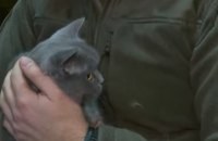 Киевский рыбоохранный патруль взял на службу кошку (ВИДЕО)
