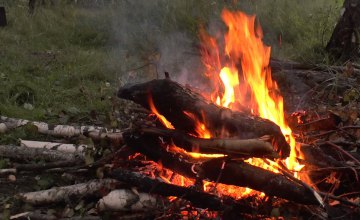 Как в регионе предупреждать массовые пожары в экосистемах