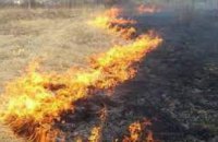 С начала года на Днепропетровщине произошло более 1,5 тысячи пожаров в экосистемах