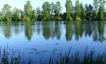 Криворожский пруд площадью 133 тыс. кв. м незаконно продали по дешевке