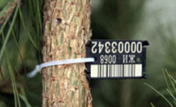 Украинцев будут штрафовать за купленную елку без чипа