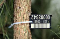 Украинцев будут штрафовать за купленную елку без чипа
