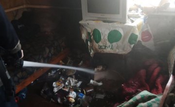 Спасатели в Кривом Роге вынесли из огня пенсионера: горел жилой дом