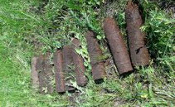 В Днепропетровской области мужчина нашел 9 снарядов во время покоса травы