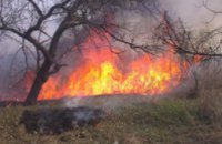 В Днепре спасатели ликвидировали два возгорания сухой травы