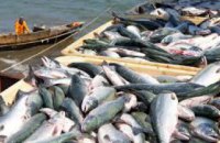 Где в Днепропетровской области можно ловить рыбу в период нереста (СПИСОК)