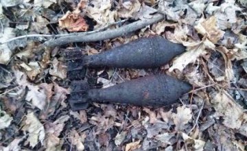 На Днепропетровщине за сутки обезвредили более 10 устаревших боеприпасов (ВИДЕО)