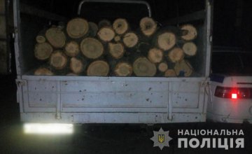 На Днепропетровщине мужчина попался на вырубке леса