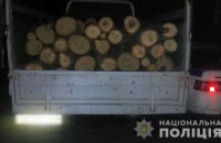 На Днепропетровщине мужчина попался на вырубке леса