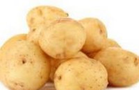 Россия забраковала 60 тонн украинского картофеля