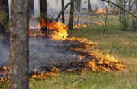 ​За последние выходные человеческий фактор стал причиной 4 лесных пожаров на Днепропетровщине 