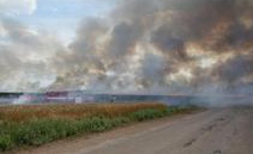 В Донецкой области из-за обстрела боевиков загорелось пшеничное поле