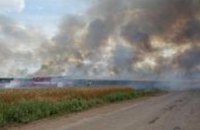 В Донецкой области из-за обстрела боевиков загорелось пшеничное поле