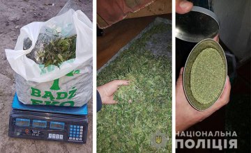На Днепропетровщине мужчина вырастил наркотические вещества на сумму 65 тысяч гривен