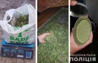 На Днепропетровщине мужчина вырастил наркотические вещества на сумму 65 тысяч гривен