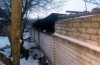 На Днепропетровщине загорелась хозпостройка: пострадал домашний скот