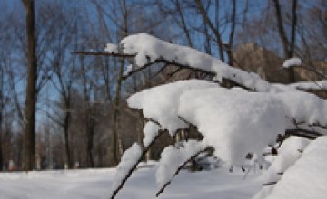 Синоптики обещают, что через неделю в Украине выпадет снег