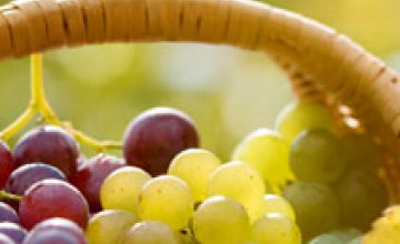 В Украине появится 1 тыс га новых виноградников