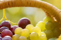 В Украине появится 1 тыс га новых виноградников