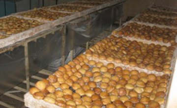 В Житомирской области милиция «накрыла» подпольное производство печенья
