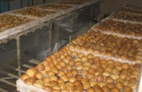 В Житомирской области милиция «накрыла» подпольное производство печенья