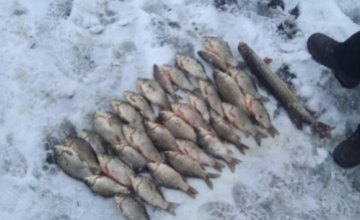 ​На Днепропетровщине рыбаки незаконно выловили более 130 кг. рыбы , - Госрыбагенство