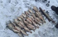 ​На Днепропетровщине рыбаки незаконно выловили более 130 кг. рыбы , - Госрыбагенство