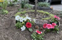 «Городские цветы» - 2020: цветоводы Днепра продолжают инициативу ОПЗЖ онлайн