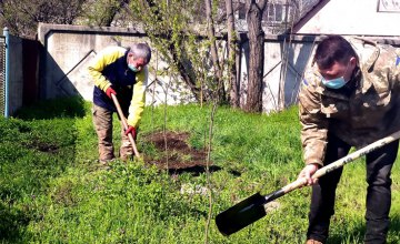 Працівники КП «Дніпровський електротранспорт» навели лад та висадили дерева на території диспетчерської станції № 19