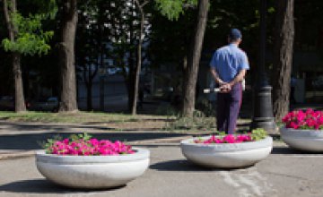 В Днепропетровске пройдет конкурс цветочных клумб
