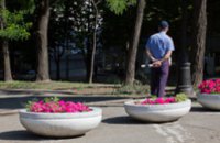В Днепропетровске пройдет конкурс цветочных клумб
