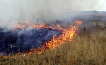 На Днепропетровщине за день произошло 3 пожара в экосистемах