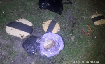 На Днепропетровщине 27-летний мужчина со взрывчаткой разбирал железнодорожный путь на запчасти