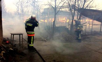 В Одесской области сгорела база отдыха (ФОТО)