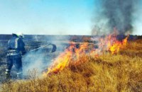 С начала года в экосистемах Днепропетровщины произошло более 600 пожаров