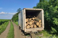 Изъяли грузовик и 40 кубов акации: в Кривом Роге пресекли незаконную вырубку леса
