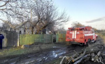 В Днепропетровской области во время пожара в частном доме погиб пенсионер-инвалид